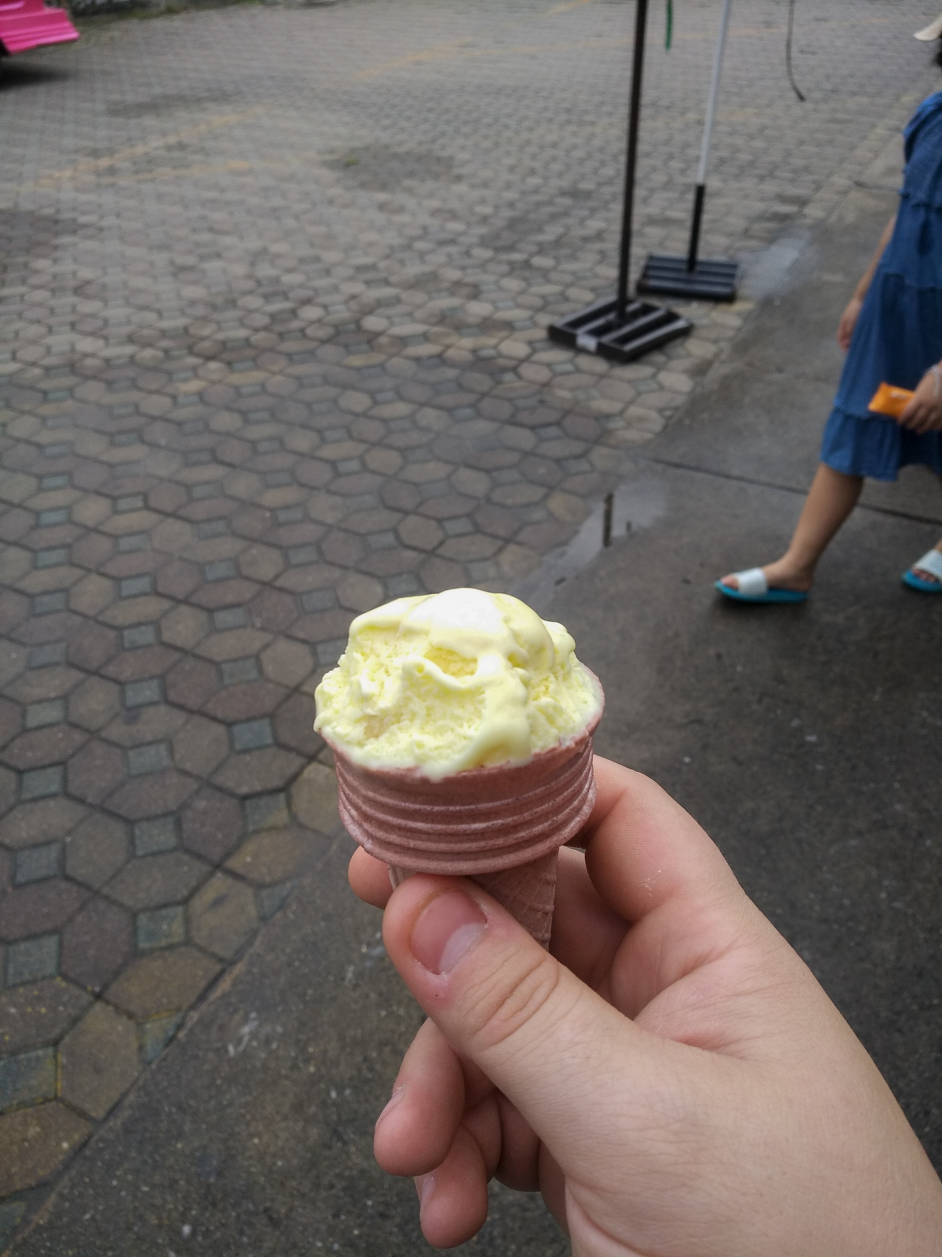 Дуриановое мороженое.